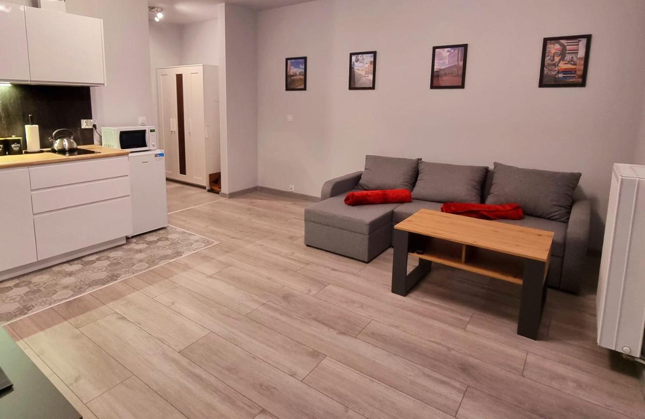 Apartament Kopernika 49 Łódź Eksteriør billede